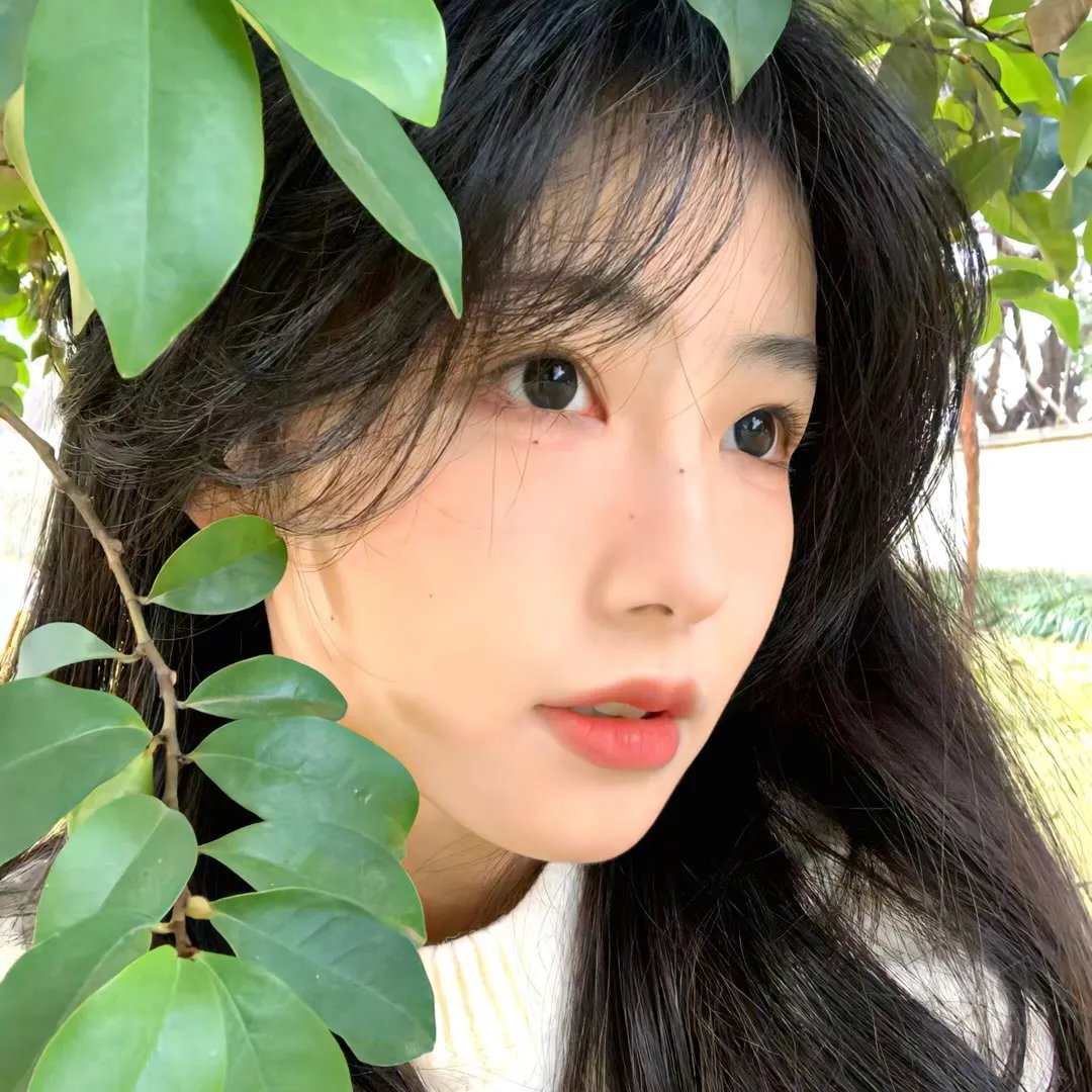 职场小烈第三季